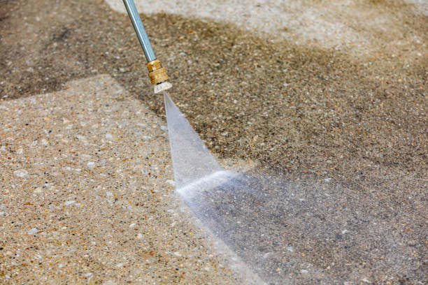 Best Dumpster Area Cleaning  in Lake Summerset, IL