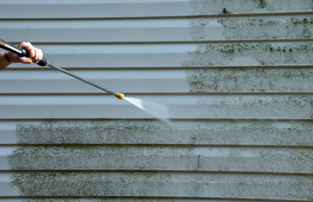 Paint Preparation in Lake Summerset, IL