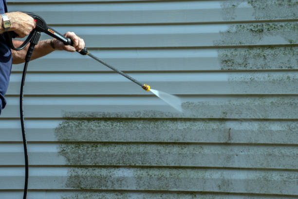 Best Fence Cleaning  in Lake Summerset, IL