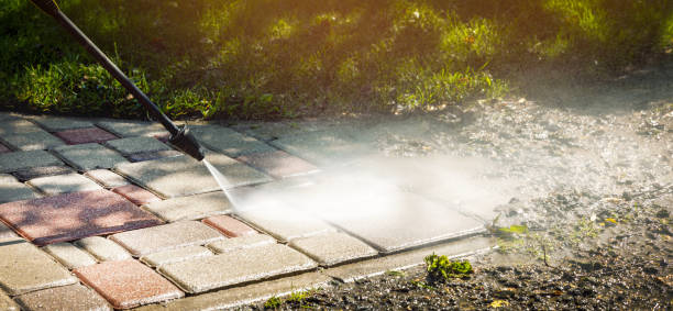 Best Solar Panel Cleaning  in Lake Summerset, IL